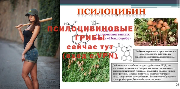 ECSTASY Белоозёрский
