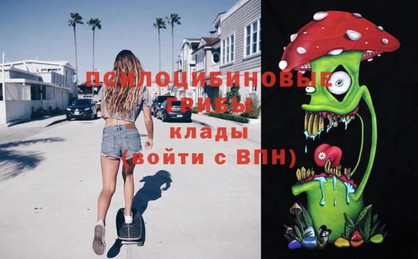 мдпв Богородицк