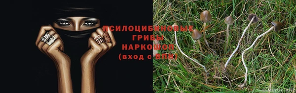 мдма Беломорск