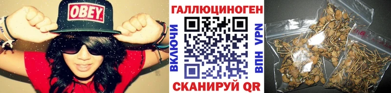 Псилоцибиновые грибы Psilocybe  Купить закладки  Воскресенск 